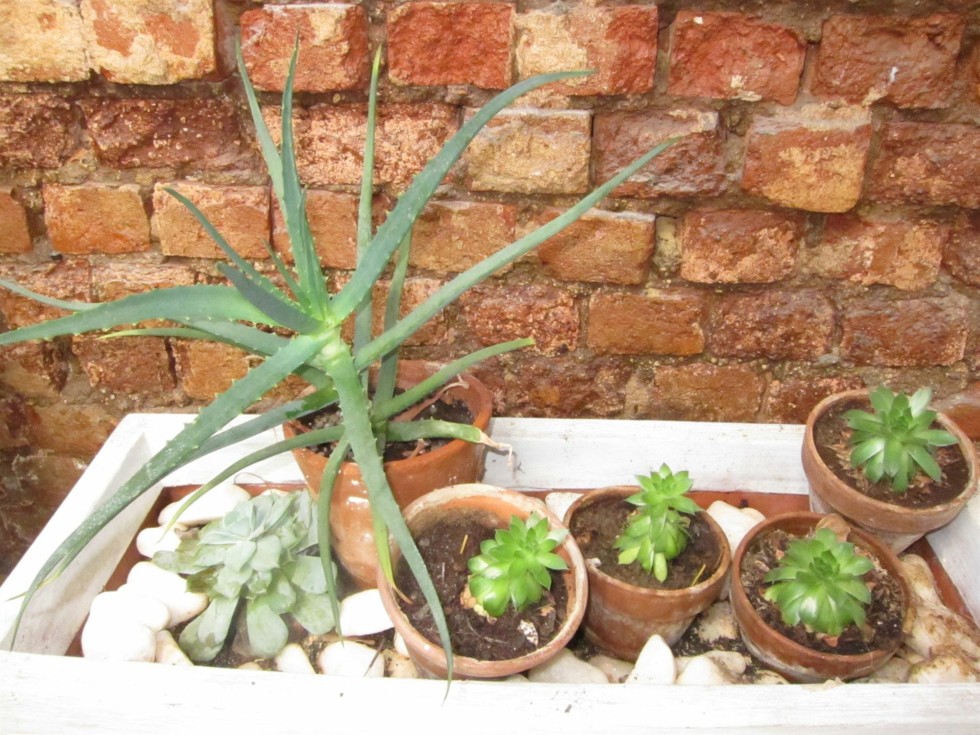 Avatara Bed & Breakfast Cape Town Luaran gambar