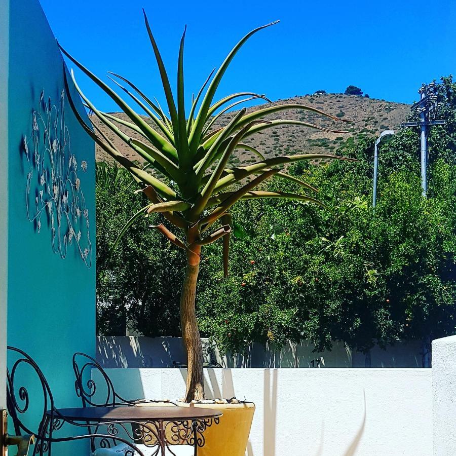 Avatara Bed & Breakfast Cape Town Luaran gambar